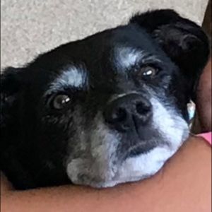 Meet your Posher, Ethan